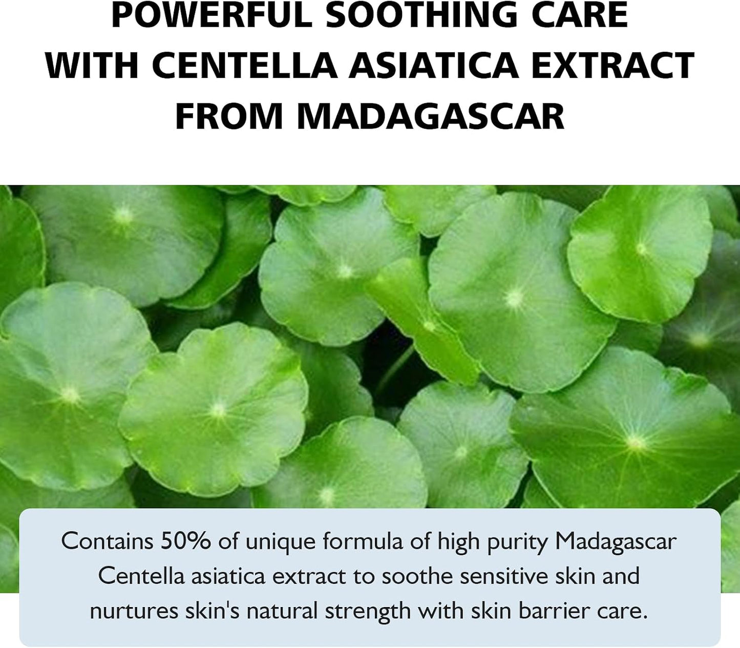 SKIN1004 Madagascar Centella Hyalu-Cica Water-Fit Sun Serum 50ml