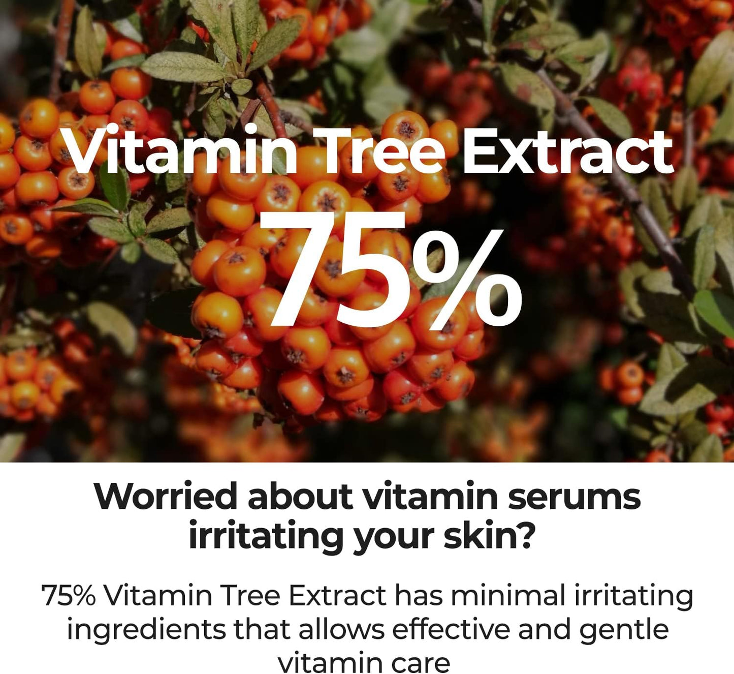 NUMBUZIN No.5 Goodbye Blemish Serum